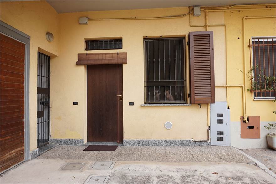 Ingresso